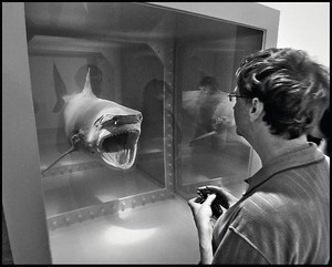Jean Pigozzi, Bill Gates with Damien Hirst's shark, Metropolitan Museum of Art, New York City, USA, 2007, 2007. Archival pigment print, 11 × 14 inches (27.9 × 35.6 cm), edition of 30 © Jean Pigozzi