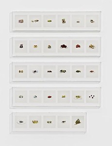 Taryn Simon, FRUIT, MISC. (PROHIBITED), 2010. 29 archival inkjet prints in 5 Plexiglas boxes, Box 1-4: 9 ¼ × 44 ½ × 2 ½ inches (23.5 × 113 × 6.4cm); Box 5: 9 ¼ × 37 ¼ × 2 ½ inches ( 23.5 × 94.6 × 6.4cm), edition of 4 Photo by Douglas M. Parker Studio