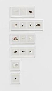 Taryn Simon, ANIMAL CORPSES (PROHIBITED), ANIMAL PARTS (PROHIBITED), ANIMAL SKELETONS (PROHIBITED), ANIMAL SPECIMENS (PROHIBITED), BUTTERFLIES (PROHIBITED), SNAILS (PROHIBITED), 2010. 15 archival inkjet prints in 6 Plexiglas boxes, Box 1: 9 ¼ × 22 ¾ × 2 ½ inches (23.5 × 57.8 × 6.4cm); Box 2: 9 ¼ × 30 × 2 ½ inches (23.5 × 76.2 × 6.4cm); Box 3 &amp; 4: 9 ¼ × 22 ¾ × 2 ½ inches (23.5 × 57.8 × 6.4cm); Box 5 &amp; 6: 9 ¼ × 8 ¼ × 2 ½ inches (23.5 × 21 × 6.4cm), edition of 4 Photo by Douglas M. Parker Studio