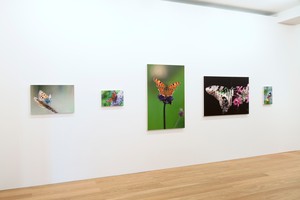 Installation view. Artwork © Damien Hirst and Hirst Holdings Ltd. All rights reserved, DACS 2010