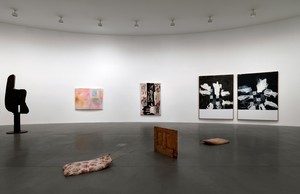 Installation view. Photo: Matteo Piazza