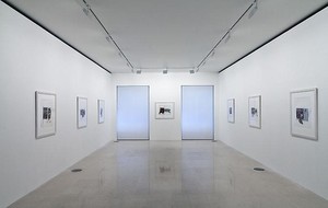 Richard Prince: de Kooning. Installation view, photo by Zarko Vijatovic
