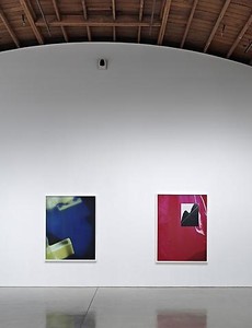 Roe Ethridge: Le Luxe II BHGG. Installation View Photography by the Douglas M. Parker Studio