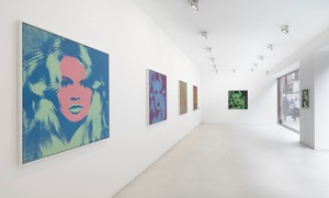 Installation view. Artwork © 2011 The Andy Warhol Foundation for the Visual Arts, Inc./Artists Rights Society (ARS), New York. Photo: Mike Bruce