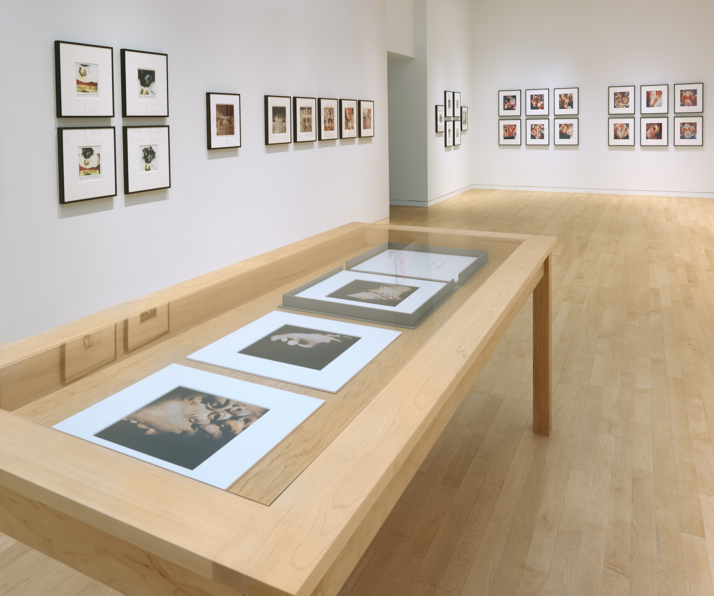 Cy Twombly: A Survey of Photographs 1954–2011, 980 Madison Avenue
