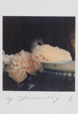 Cy Twombly: Photographs, Beverly Hills