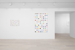 Installation view. © Damien Hirst and Science Ltd. All rights reserved, DACS 2012