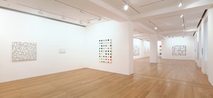 Installation view. Artwork © Damien Hirst and Science Ltd. All rights reserved, DACS 2012