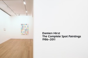 Installation view. Artwork © Damien Hirst and Science Ltd. All rights reserved, DACS 2012