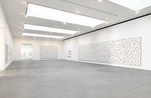 Installation view. Artwork © Damien Hirst and Science Ltd. All rights reserved, DACS 2012. Photo: Mike Bruce