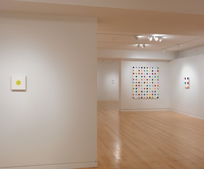 Installation view (4th floor) Artwork © Damien Hirst and Science Ltd. All rights reserved, DACS 2012. Photo: Rob McKeever