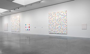 Installation view. Artwork © Damien Hirst and Science Ltd. All rights reserved, DACS 2012. Photo: Rob McKeever