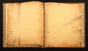 Ed Ruscha, Old Book with Wormholes, 2012. Acrylic on canvas, 72 × 124 inches (182.9 × 315 cm) © Ed Ruscha. Photo: Paul Ruscha