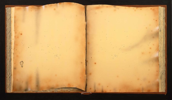 Ed Ruscha, Old Book with Wormholes, 2012 Acrylic on canvas, 72 × 124 inches (182.9 × 315 cm)© Ed Ruscha. Photo: Paul Ruscha