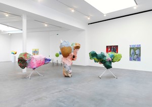 Installation view Photo by Mike Bruce. 