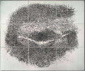 Giuseppe Penone, Contatto—occhio destro di R..., 2009. Tempera on canvas, silk, Acacia thorns, 9 panels: 118 ⅛ × 141 11/16 × 3 ½ inches overall (300 × 360 cm)