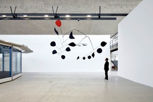 Installation view, photo by Thomas Lannes. 