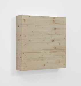 Elisa Sighicelli, Untitled (Wood), 2012. Photograph mounted on the same wood photographed, 23 ⅝ × 23 ⅝ × 5 ¾ inches (60 × 60 × 12 cm)