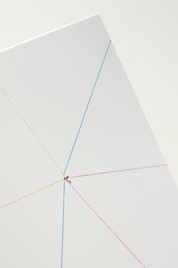 Elisa Sighicelli, Untitled (Punctum), 2012 (detail). Laminated chromogenic print mounted on aluminum, nail, 22 1/16 × 22 1/16 inches (56 × 56 cm), edition of 3