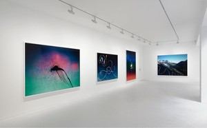 Installation view, photo by Mike Bruce. 