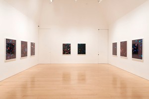 Installation view Photo by Josh White
