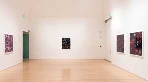Installation view Photo by Josh White