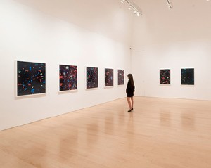 Installation view, photo by Josh White