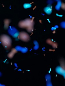 Roe Ethridge Untitled (confetti #14), 2012. Chromogenic print, 46 × 35 inches (116.8 × 88.9 cm), edition of 5