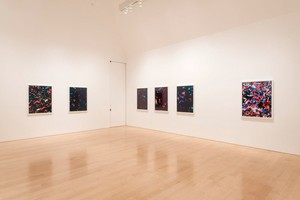 Installation view Photo by Josh White
