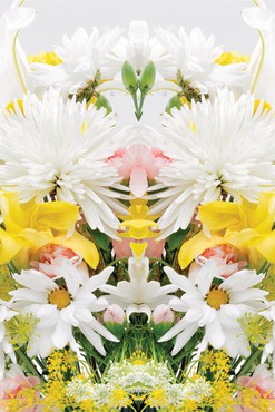 A photo of flowers with a Rorschach effect.