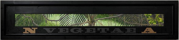 Neil Jenney, North American Vegetae, 2006–07 Oil on wood in artist's frame, 25 ⅜ × 113 × 2 ¾ inches (64.5 × 287 × 7 cm)