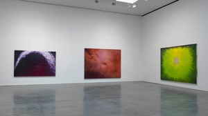Installation view, photo by Rob McKeever. 