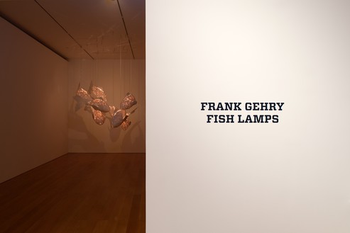 Installation view Artwork © Frank O. Gehry
