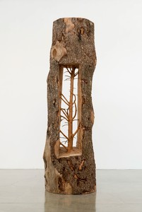 Giuseppe Penone, Albero porta—cedro / Door Tree—Cedar, 2012. Cedar wood, 125 × 40 × 40 inches (317.5 × 101.6 × 101.6 cm) © Giuseppe Penone, photo by Josh White