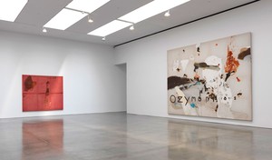 Installation view. © 2014 Julian Schnabel/Artists Rights Society (ARS), New York, photo by Rob McKeever