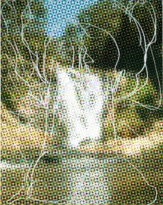 Jeff Koons, Waterfall Dots (Tree Rocks), 2008. Oil on canvas, 108 × 84 inches (274.3 × 213.4 cm) © Jeff Koons