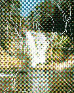 Jeff Koons, Waterfall Dots (Tree Rocks), 2008 Oil on canvas, 108 × 84 inches (274.3 × 213.4 cm)© Jeff Koons