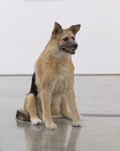 Piero Golia, The Dog and the Drop, 2013 (view 1). Animatronic dog, solenoids, and sync device, Dimensions variable