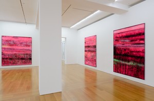 Installation view, photo by Calvin Sit. 