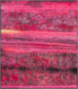 Sterling Ruby, SP288, 2014. Spray paint on synthetic canvas, 96 × 84 inches (243.8 × 213.4 cm) Photo by Robert Wedemeyer