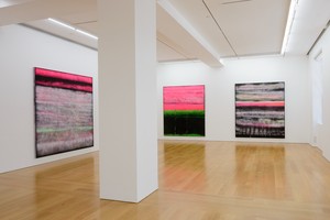 Installation view, photo by Calvin Sit. 