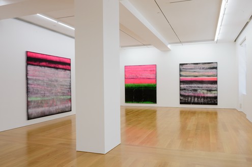Installation view, photo by Calvin Sit 
