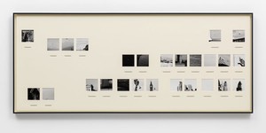 Taryn Simon, United Kingdom, 2014. Archival inkjet prints in boxed mat and aluminum frame, 39 ⅞ × 94 ⅞ inches (101.3 × 241 cm) © 2014 Taryn Simon