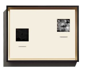 Taryn Simon, Crab Key, 2014. Archival inkjet prints in boxed mat and aluminum frame, 19 ¾ × 26 ⅛ inches (50.2 × 66.4 cm) © 2014 Taryn Simon