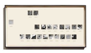 Taryn Simon, Switzerland, 2014. Archival inkjet prints in boxed mats and aluminum frames, 39 ⅞ × 79 7/16 inches (101.3 × 201.8 cm) © 2014 Taryn Simon