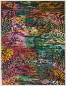 Harmony Korine, Scubby Line, 2014. House paint, oil, and collage on canvas, 124 × 93 inches (315 × 236.2 cm) Photo by Josh White
