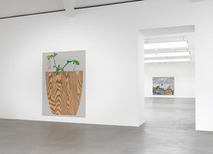 Installation view, photo by Mike Bruce. 