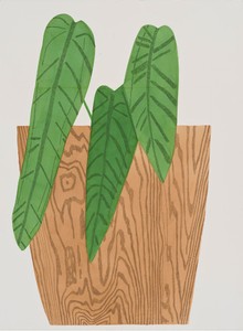 Jonas Wood, Wood Pot with Plant #3, 2015. Gouache and colored pencil on paper, 41 ⅞ × 30 ⅝ inches (106.4 × 77.8 cm) © Jonas Wood
