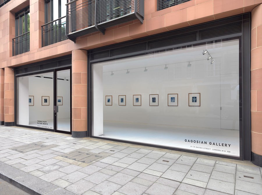 Thomas Ruff: nature morte, Davies Street, London, August 6