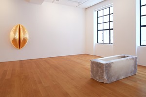 Installation view. Artworks © Anish Kapoor